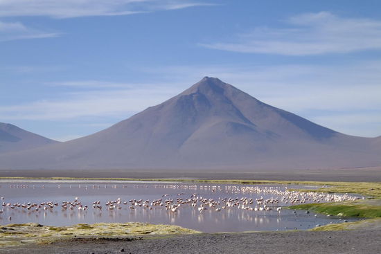 3.Tag: Tausende Flamingos bewohnen den wunderschönen Nationalpark
