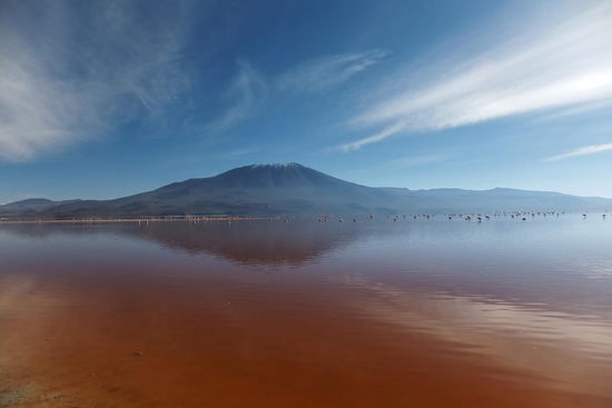 Unsere Lieblingslagune 'Laguna Colorada' in mehrfach schönen Farben auf 4.300 m 