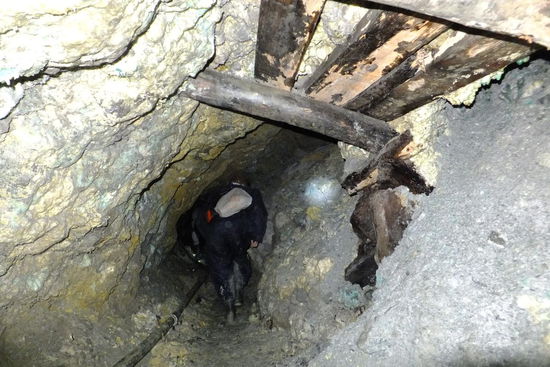 keine Sicherheitsvorkehrungen