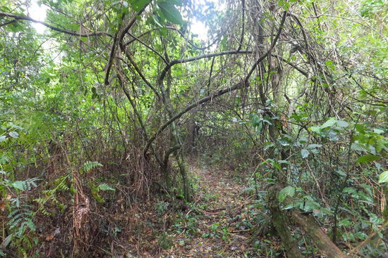 ... und das Paradies direkt hinterm Haus - wie schön dass es noch da ist!