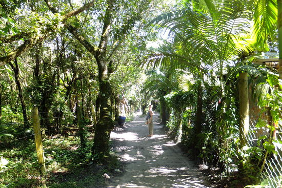 Die Insel ist üppig mit Grün bewachsen und überall gibt es kleine, süße Sandwege