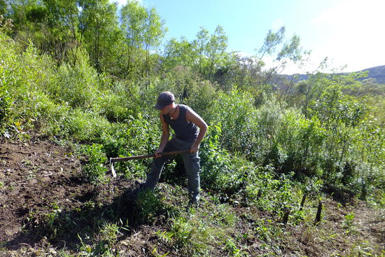 es war eine echte Knochenarbeit für uns