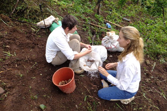 nach 3 Tagen harter Arbeit machten wir aus einem Feld voll Gestrüpp...