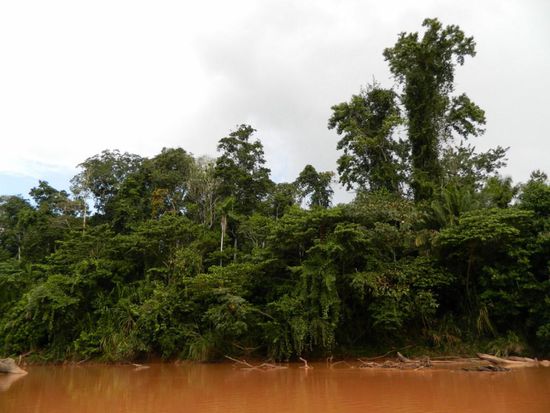 ...an traumhafter Landschaft vorbei 