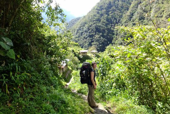 aus Sträuchern wurden Bäume, und plötzlich wurden wir von Schmetterlingen verfolgt... 