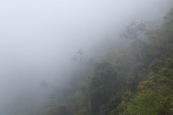 vorbei gings an mysteriösen Nebelwäldern...