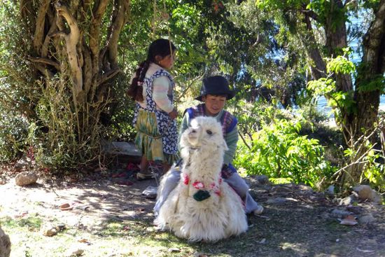 auf der Insel leben ca. 2000 Menschen und Unmengen an Nutztieren