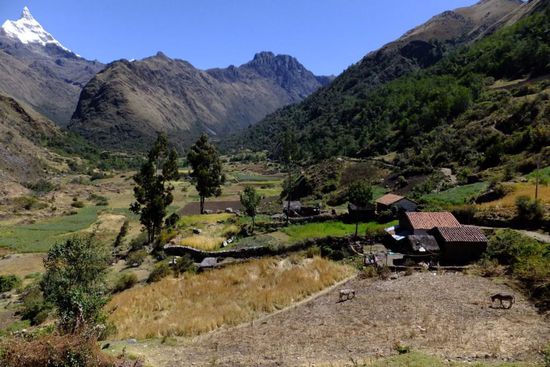 üppig bewachsenes Tal am zweiten Tag, trotz 4.000 m Höhe