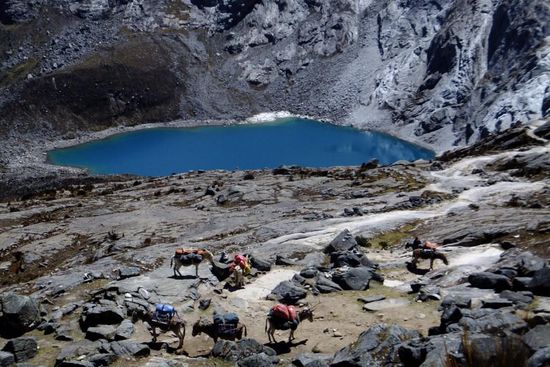 ... und wir hatten das Gefühl sie waren danach fix &amp; fertig und definitiv überladen.. 
deshalb schleppen wir unser Zeug lieber selber!