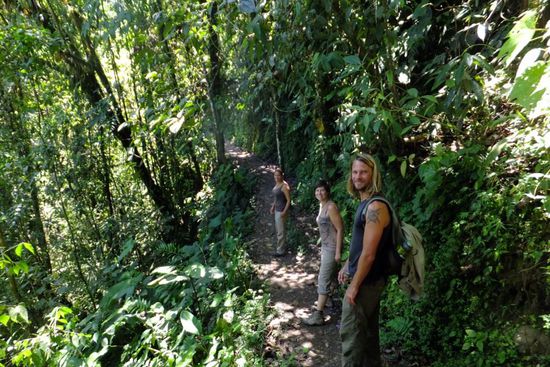 ab geht's in den Nebelwald...