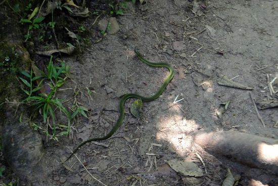 ... und natürlich dessen Bewohner 
