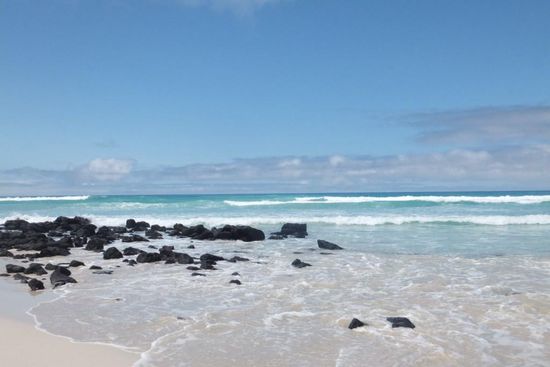 eigentlich sind die Galapagos-Inseln Vulkaninseln, aber trotzdem sind die Strände schneeweiß...
