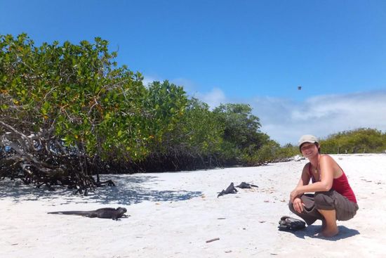 sie kriechen überall !