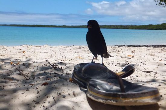 "Nix gibts!" Trotzdem schöön dass du so nah ran kommst!