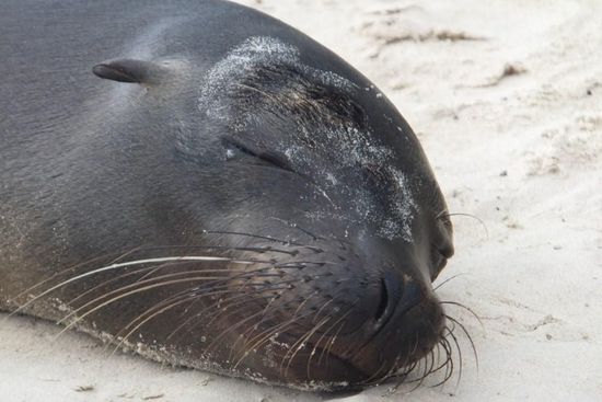 süüüüüüüüüß