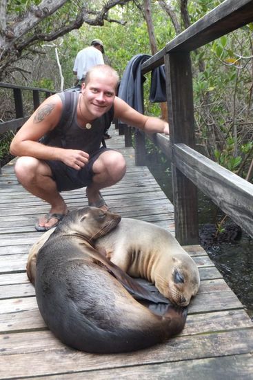Da die Robben nachts jagen,  chillen sie tagsüber - und lassen sich nicht stören!