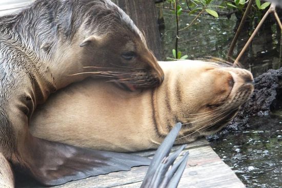 wird da etwa ein Knutschfleck verpasst? 