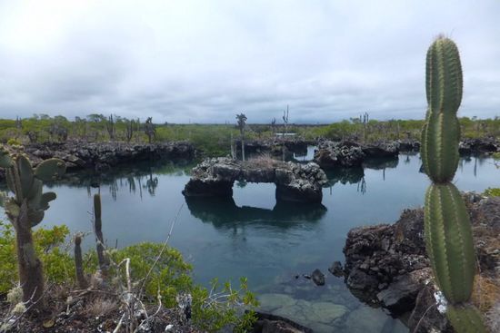 einzigartig auf Galapagos: durch Vulkangestein geschaffene natürliche Tunnel