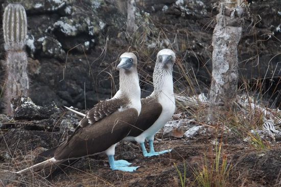 sehen echt cool aus oder?!?