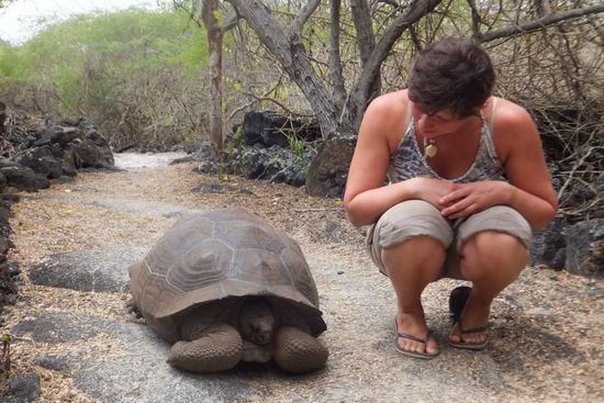 hier hatten wir Glück, wir haben die Landschildkröten auch im Freien gesehen...