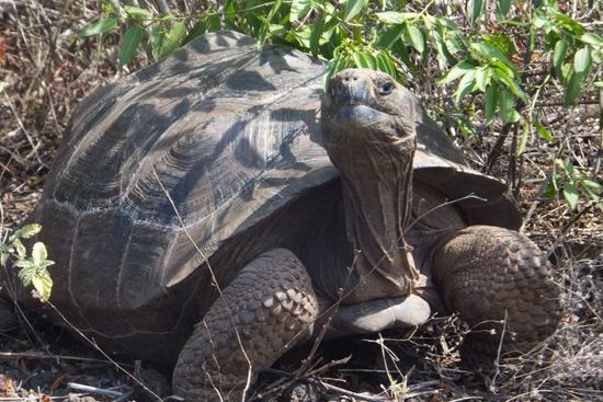 "Wer sind die denn???" 