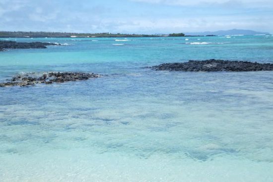 tut uns ja echt leid - aber geil, oder?