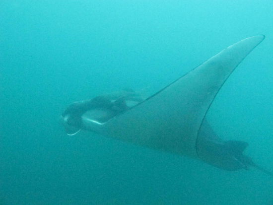  und somit ist Julia's Wunsch in Erfüllung gegangen...
