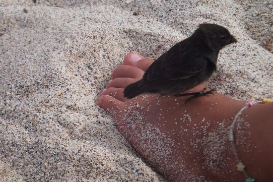 total zutraulich die Kleinen 