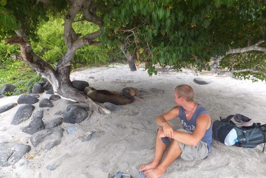 da liegen sie, 'pläken' und chillen im Schatten! einfach süß...