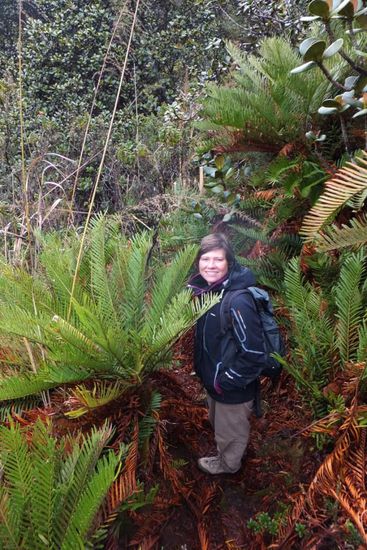 es hat zwar geregnet und war kühl