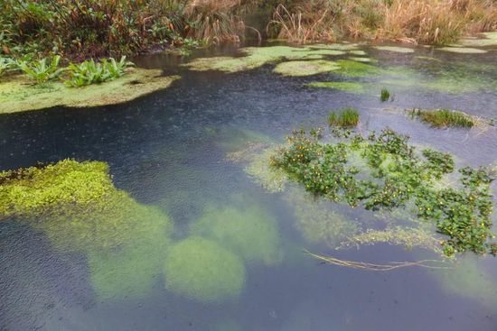 aber das wandern hat super viel Spass gemacht..