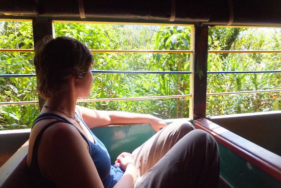 wir haben schon auf der Hinfahrt gestaunt wie saftig grün bewachsten Pereira ist..