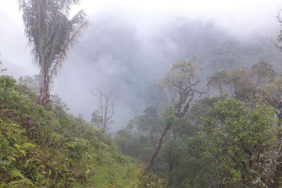 ...auch wenn es am zweiten Tag viel geregnet hat
