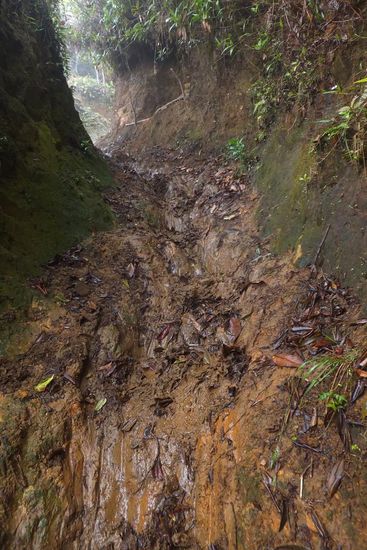 beim Regen wurde das laufen zur Schlammschlacht