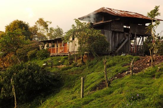 Hier leben der Onkel von Jaime's Oma, dessen Sohn und ganz viele Hühner, Schafe, Gänse, Hasen, Meerschweinchen und Hunde 