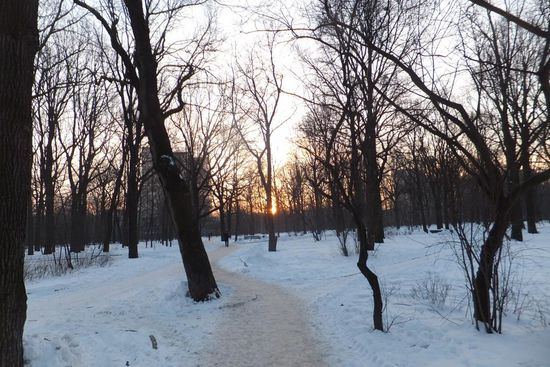unser Heimweg.. Außenbezierk, Plattenbauten und viele zugefrorene Parks  welcome to Moskau