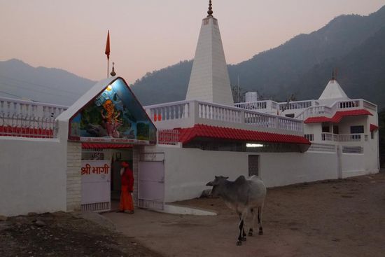 hier gibt es viele "Ashrams", in denen sich viele wochenlang aufhalten um zu meditieren oder Yoga zu machen