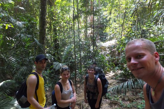 Tapirsuche die 3. - diesmal mit auf dem Hochstand pennen...