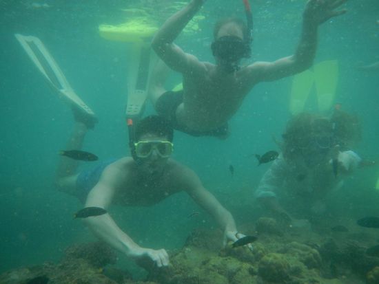 So und jetzt wer ist wer?