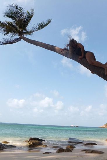 Der Schein trügt, hier wurde niemand auf die Palme gebracht
