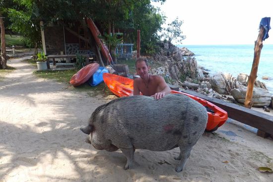 Nicht nur mit dem Wetter haben wir Schwein gehabt