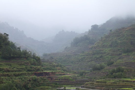 ... und ausserhalb! Dauerregen - bääääh! 