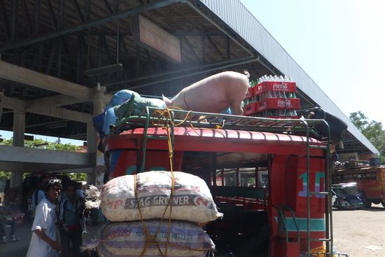 Reissack - check!
Colaflaschen - check!
und die Sau? - check! 