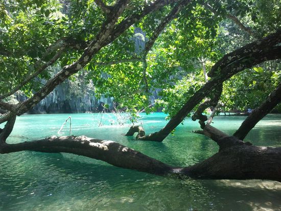 .. präsentiert sich von seiner allerschönsten Seite!