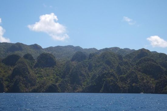 wie auch schon in Palawan ist auch Coron-island hauptsächlich von Wald überzogen...