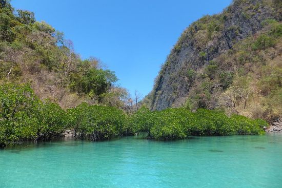 ... und Mangrovenwäldern umgeben!