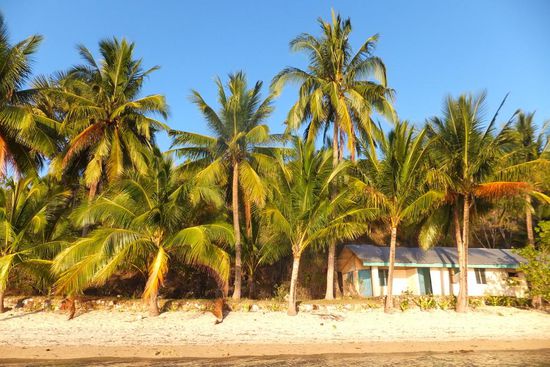 hier sind wir gestrandet 