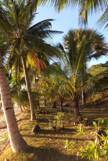 Willkommen in unserem Garten 