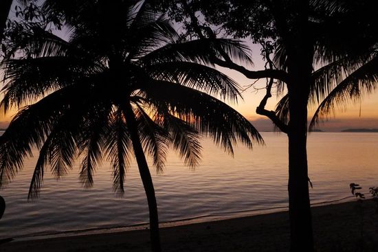 hier gabs die romantischsten Sonnenuntergänge bei Rum &amp; Limette, und später liesen wir uns von tausend kleinen fluoreszierenden Lebewesen im Wasser beeindrucken!