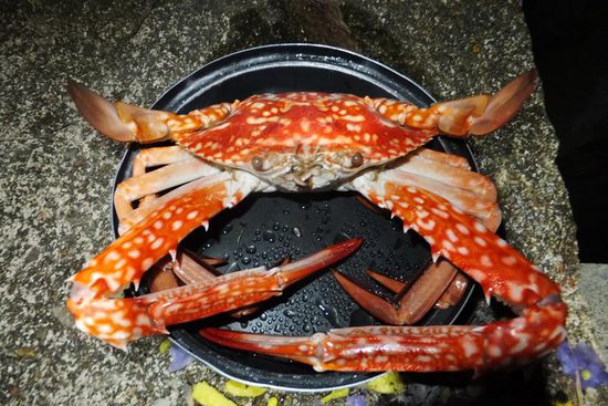 zugegeben: gegen Ende hatten wir nix mehr zu essen, aber am ersten Abend gabs die besten Krabben die wir je gegessen haben!